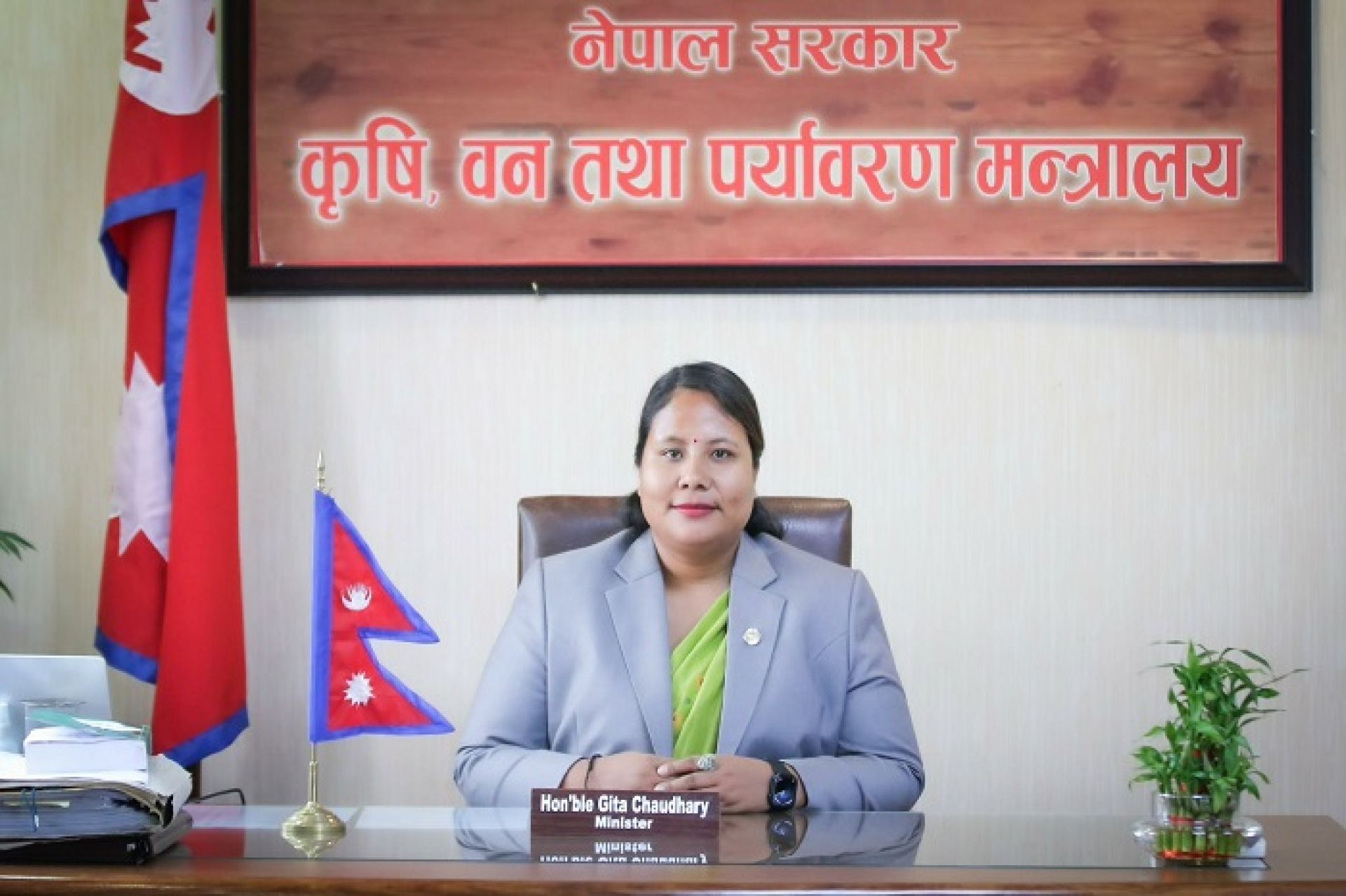 बाली लगाउनुपूर्व नै मूल्य तोकिने निर्देशिका जारी, वर्षे मकैको मूल्य फागुनभित्र तोकिने